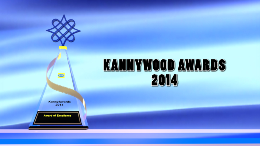 MTN/Kannywood Awards 2014: Popular Choice Selection Codes.